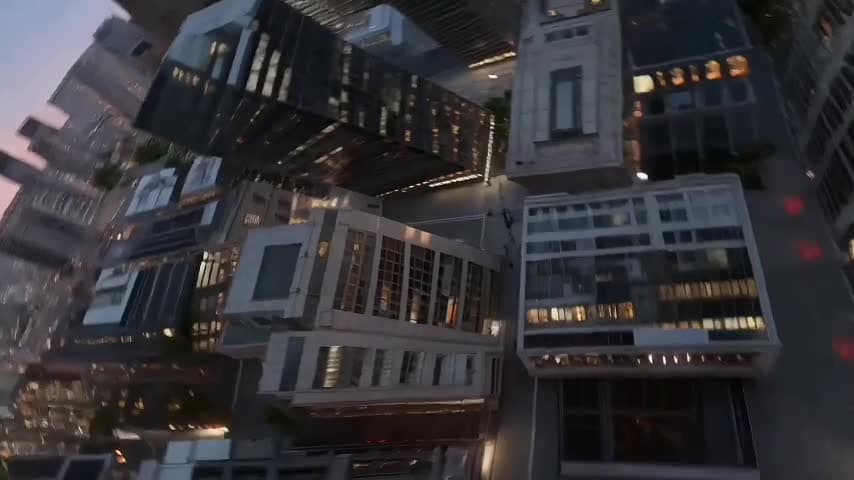 referenceVideo 1